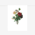 Tea Towel | Anemone