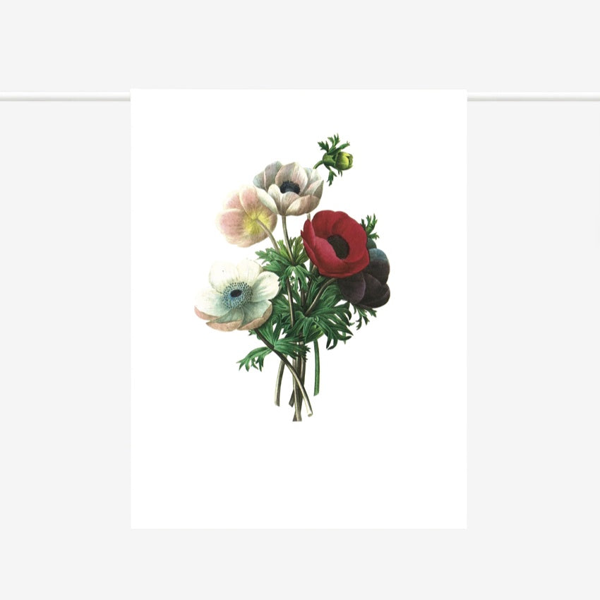 Tea Towel | Anemone