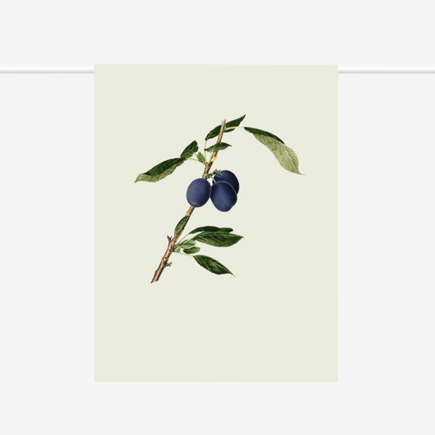 Tea Towel | Plums