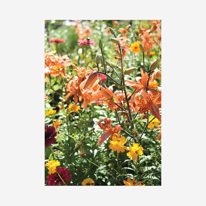 Puzzle | Orange Flowers
