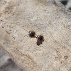 Rā Paua Stud
