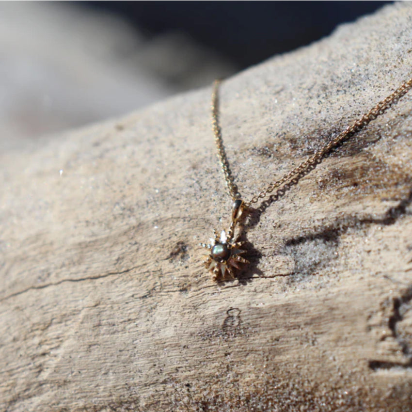 Rā Paua Necklace