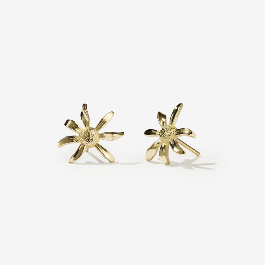 The Meadowlark Daisy Studs in Gold on a blank background