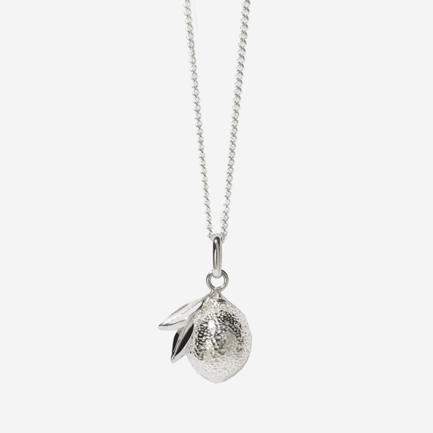 The Meadowlark Lemon Charm Necklace in Silver on a blank background