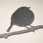 Black Robin