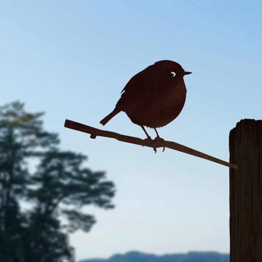 Black Robin