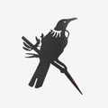 Tūī | Mini
