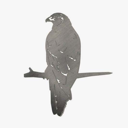 The Metalbird steel Kahu on a blank background