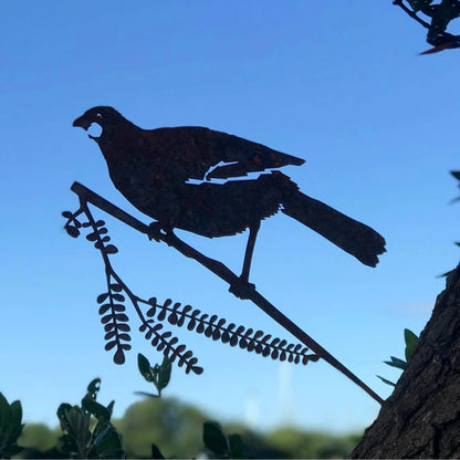 The Metalbird Kokako in a tree with a bright blue sky backdrop