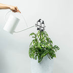 The Metalbird Kereru Pair Plant Stake in a pot with a plant, being watered with a watering can