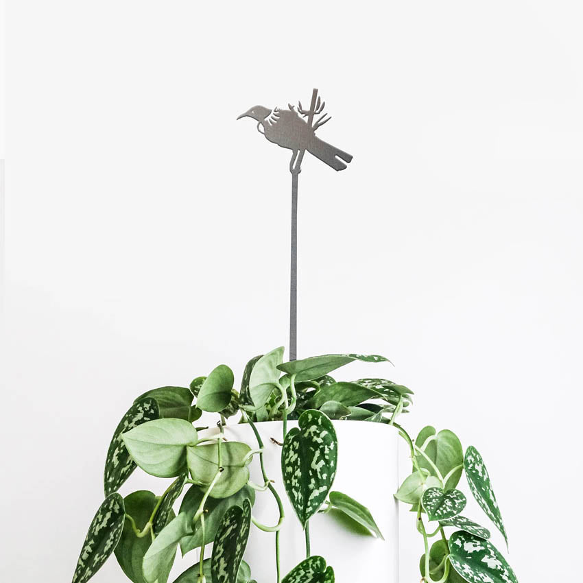 Tui Plant Stake | 70cm