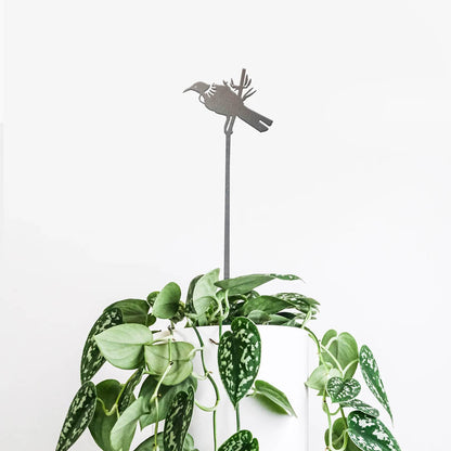 Tui Plant Stake | 70cm