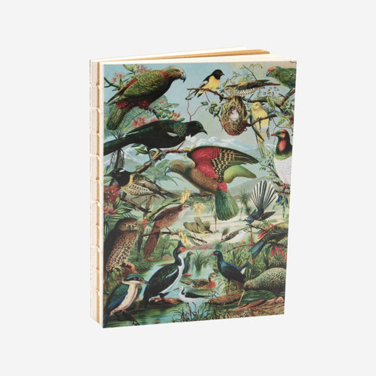 Notebook | Native Birds