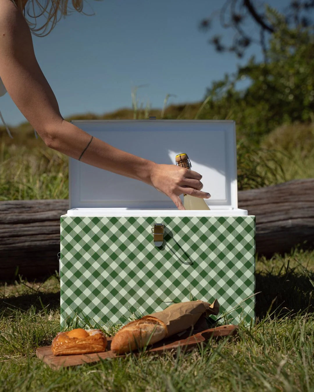 Chilly Bin | Avocado Gingham