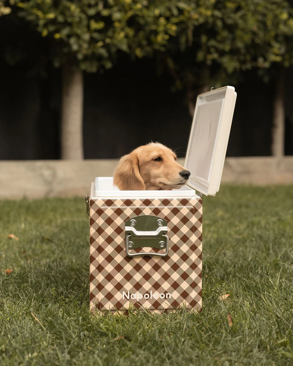Chilly Bin | Caramel Gingham
