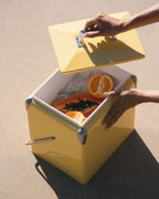 Mini Chilly Bin | Lemon Yellow