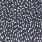 Serviette | Marimekko