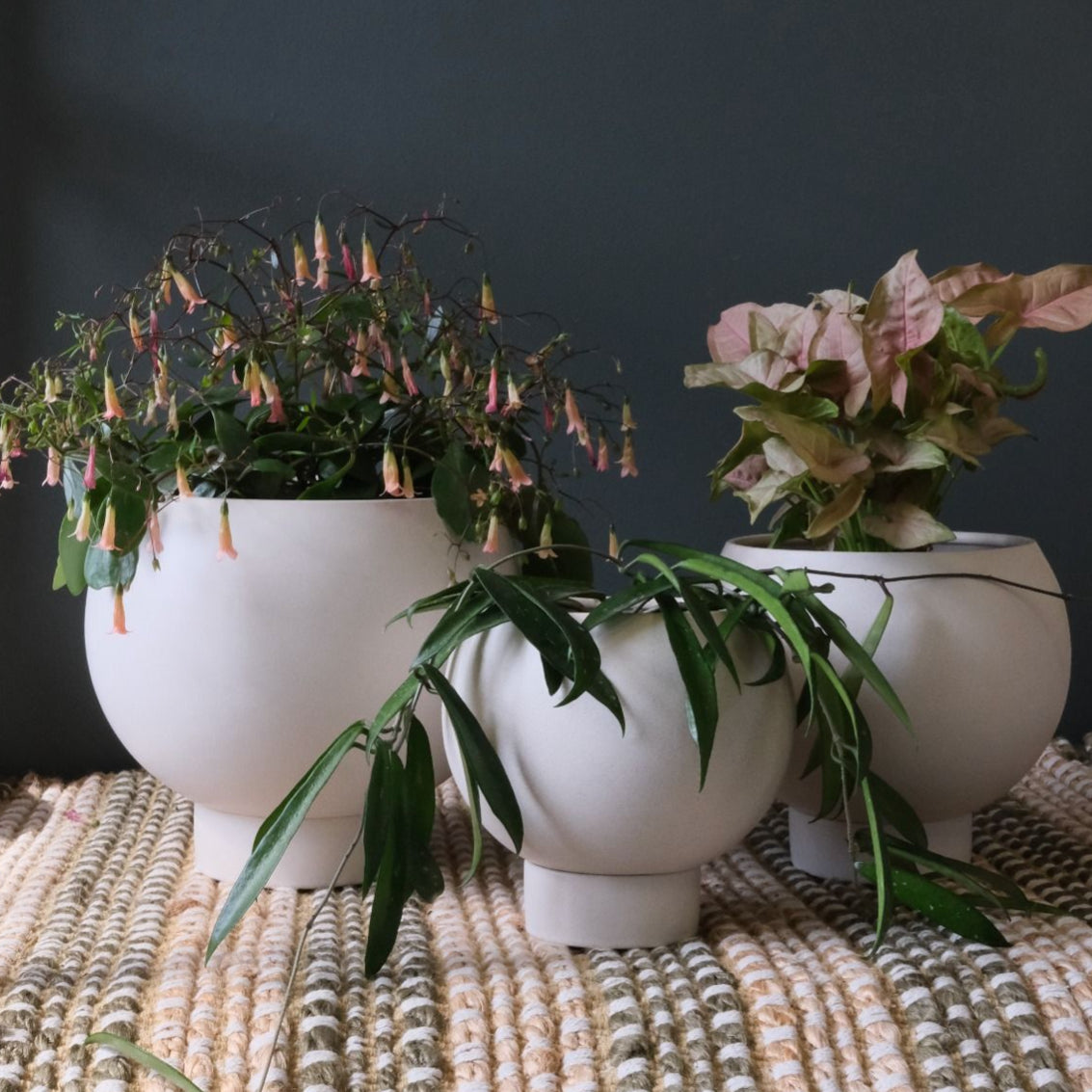 Orbit Planter | Oatmeal