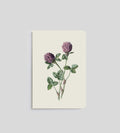 Notebook | Red Meadow Clover