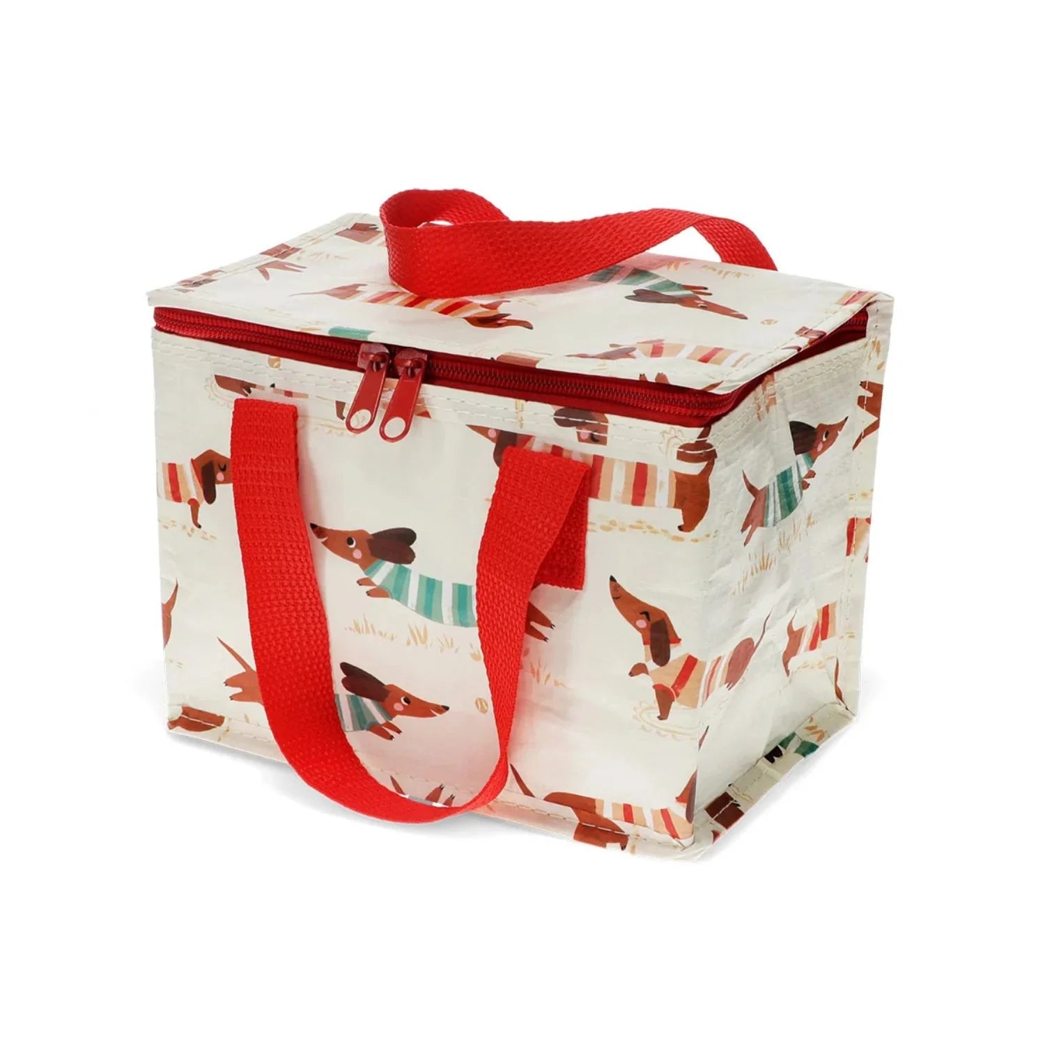 Insulated Lunch Bag