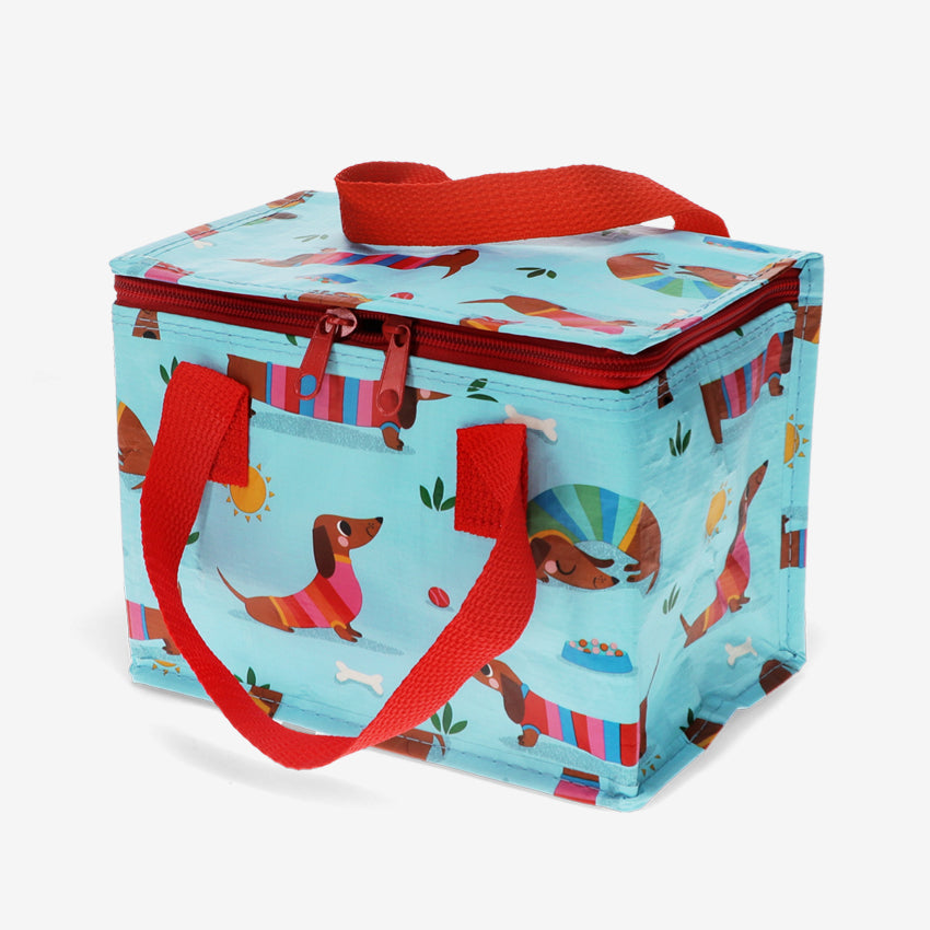 Insulated Lunch Bag
