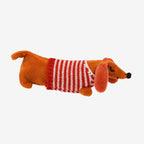 Mini Sausage Dog In A Little Box