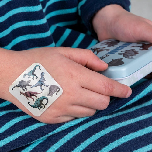 Plasters in a Tin | Prehistoric Land