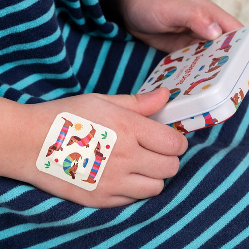Plasters in a Tin | Sausage Dog