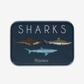 Plasters in a Tin | Sharks