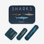 Plasters in a Tin | Sharks