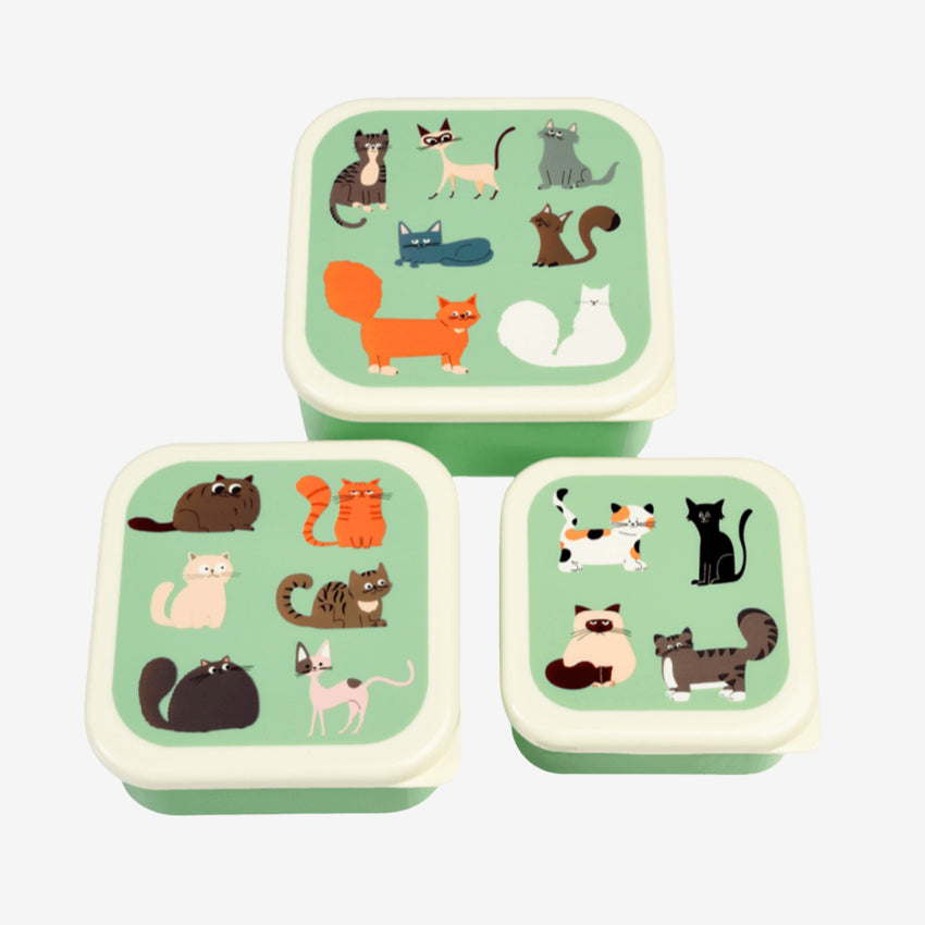 Snack Boxes