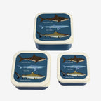 Snack Boxes