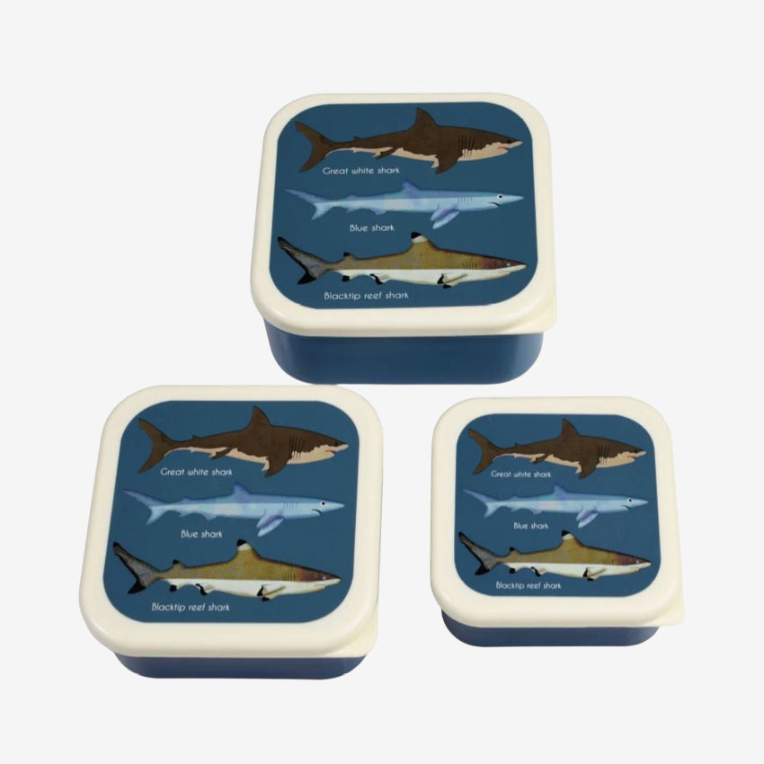 Snack Boxes