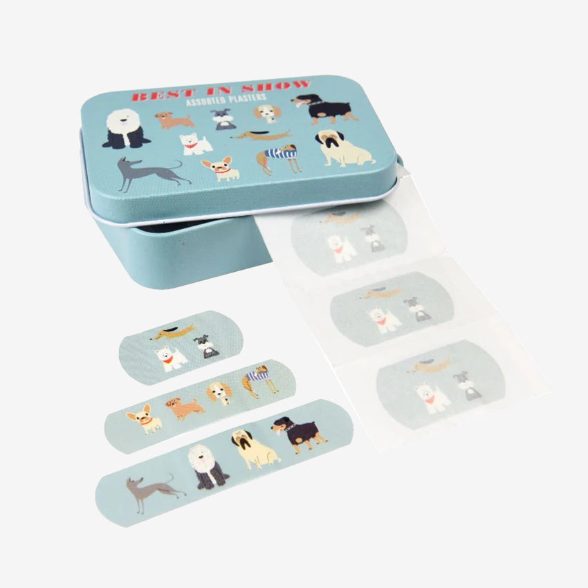 Plasters in a Tin | Best in Show