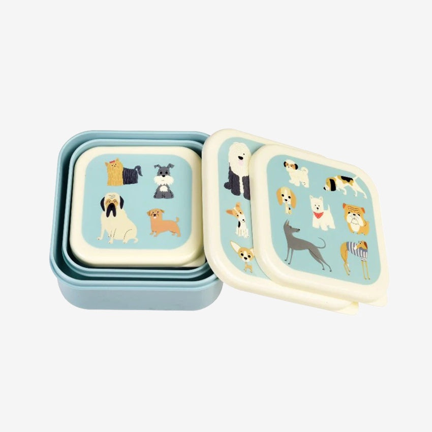 Snack Boxes