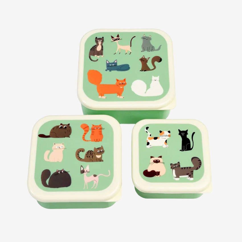 Snack Boxes | Nine Lives