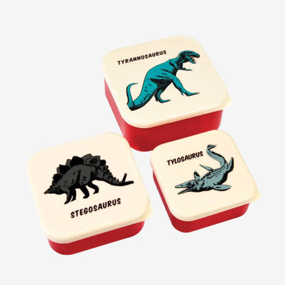 Snack Boxes | Prehistoric Land