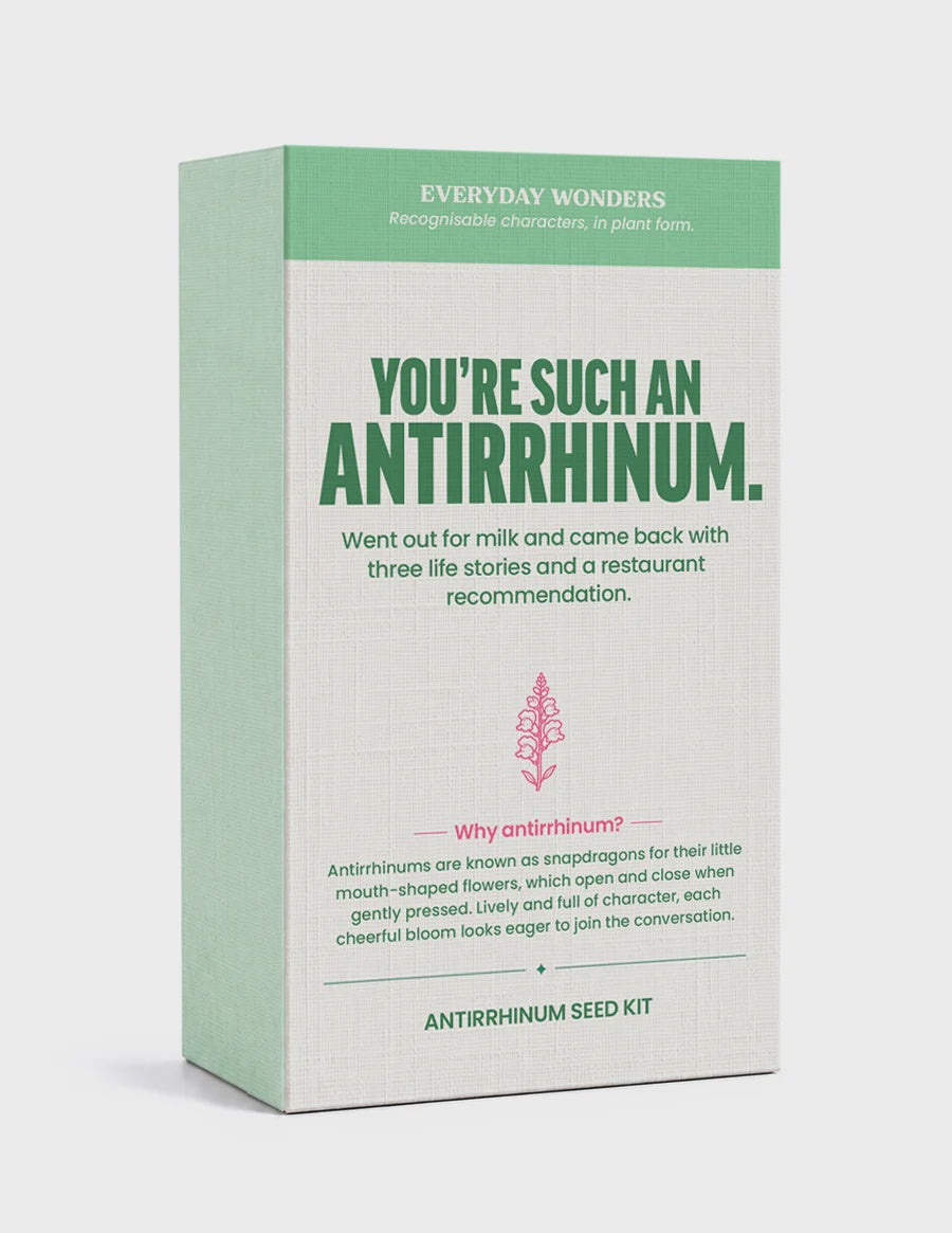 Everyday Wonders Seed Kit | Antirrhinum