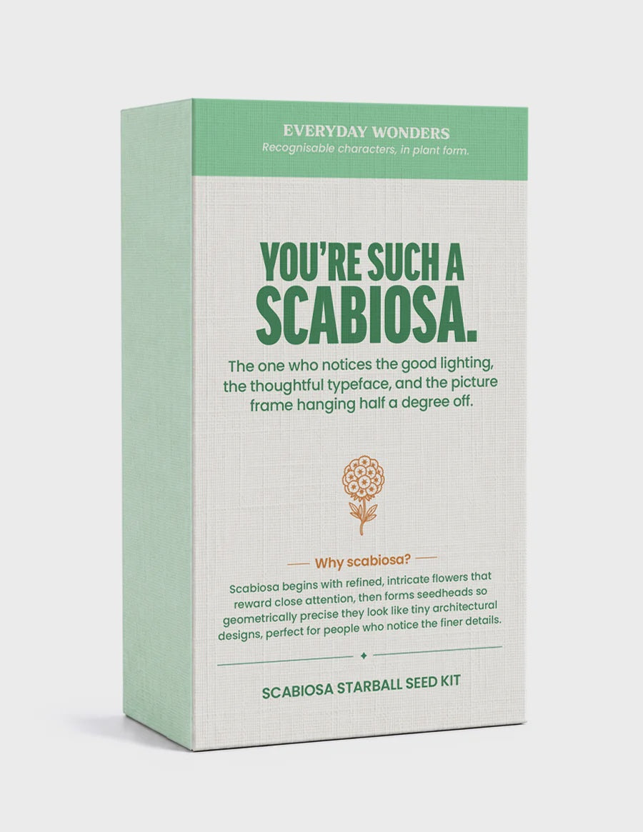Everyday Wonders Seed Kit | Scabiosa