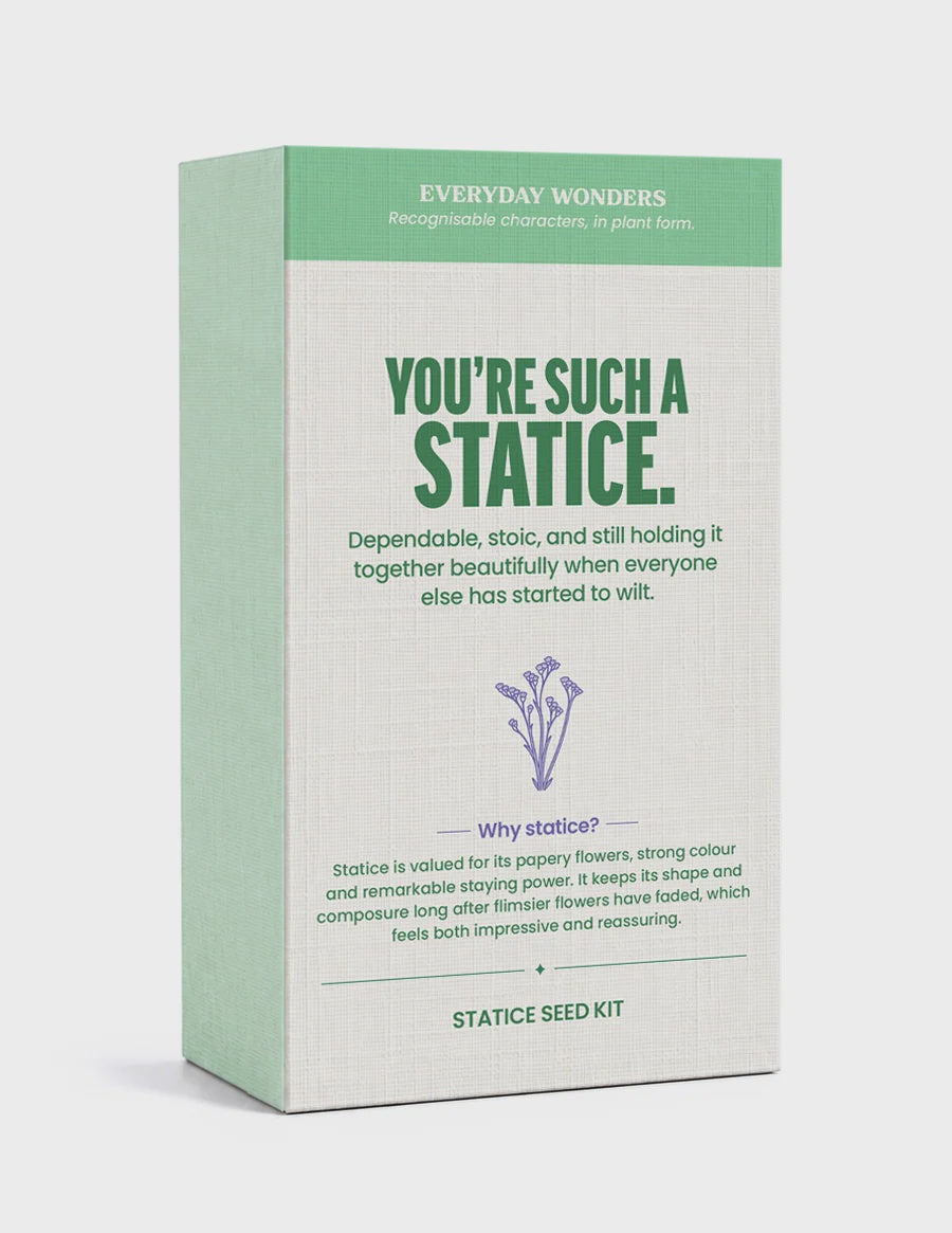 Everyday Wonders Seed Kit | Statice