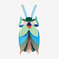 Wall Art Beetles | A4