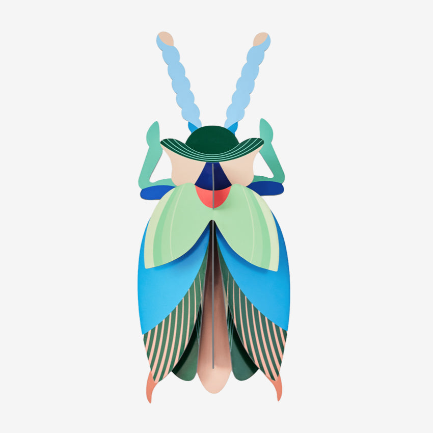 Wall Art Beetles | A4