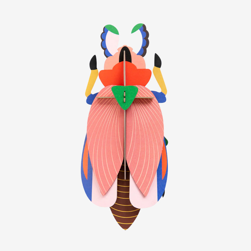 Wall Art Beetles | A4