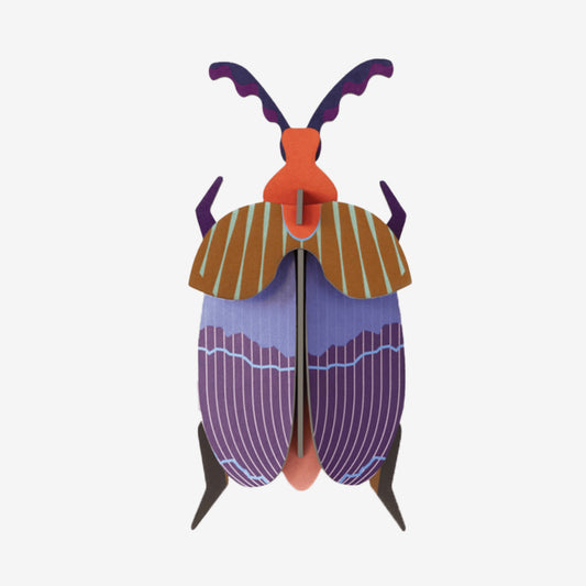 Wall Art Beetles | B7