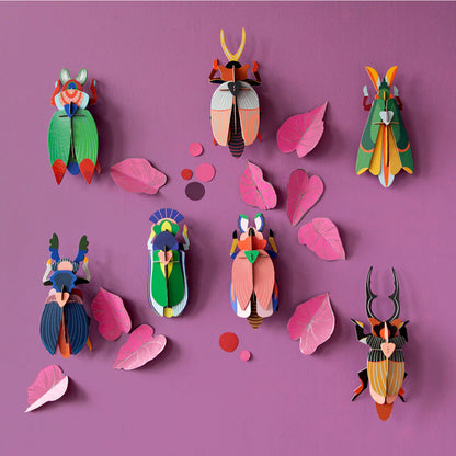 Wall Art Beetles | B7