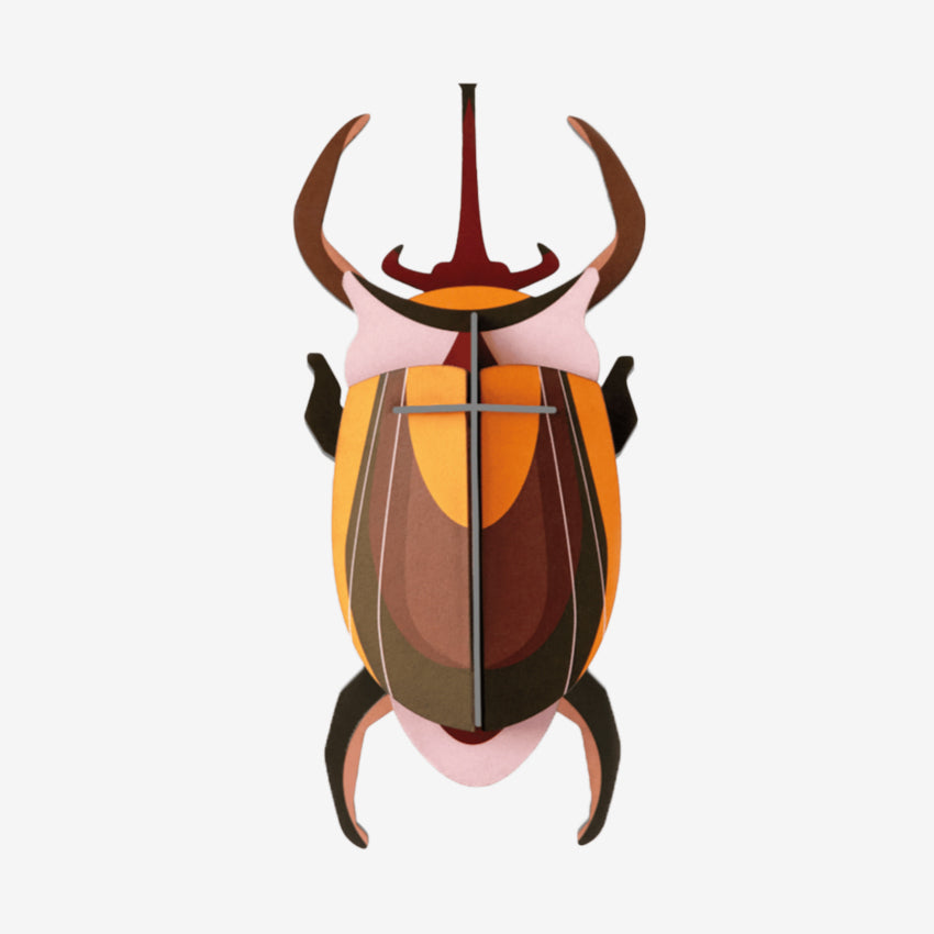Wall Art Beetles | B7