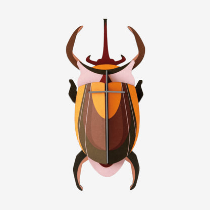 Wall Art Beetles | B7