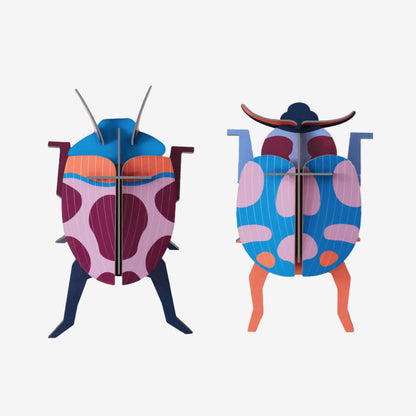 Wall Art Beetles | B7