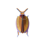 Wall Art Beetles | B7