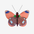 Wall Art Butterflies | B7